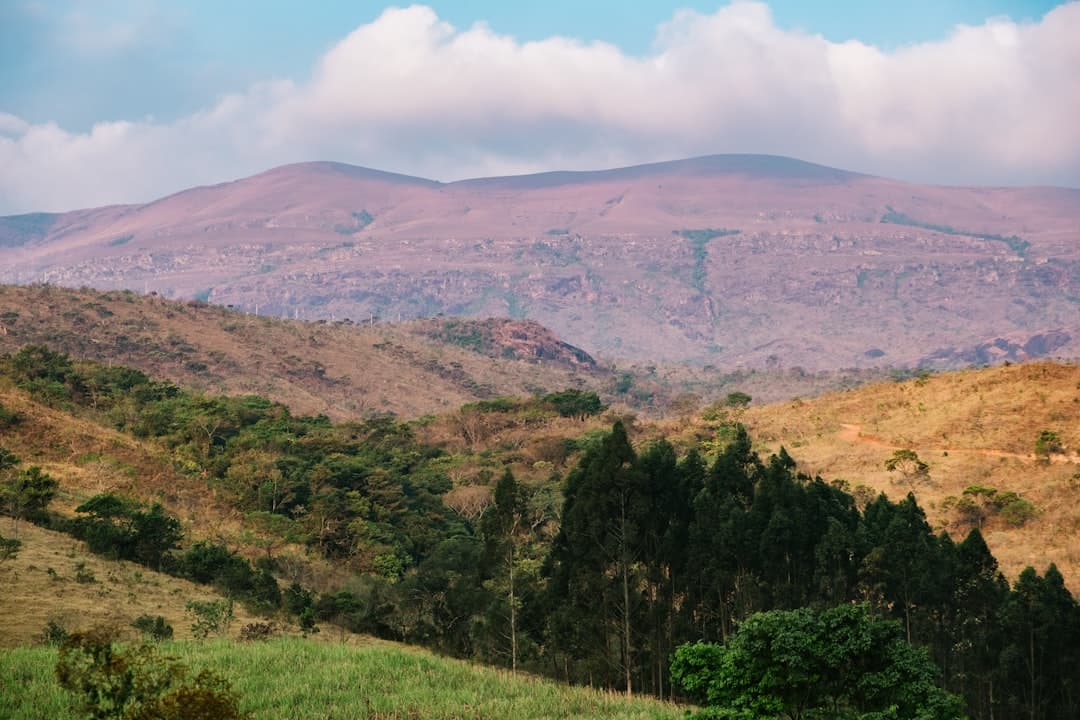 Minas Gerais