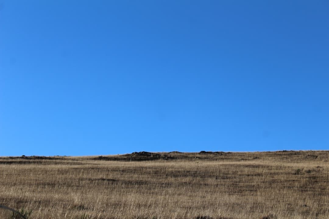 Rio Grande do Sul