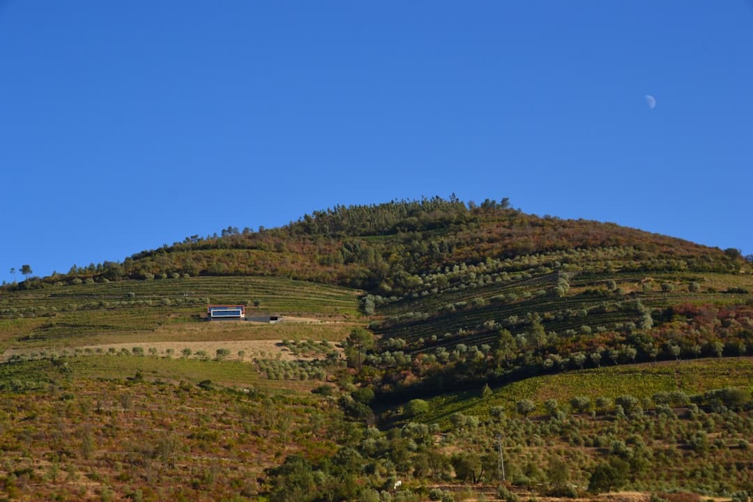 Rio Grande do Sul