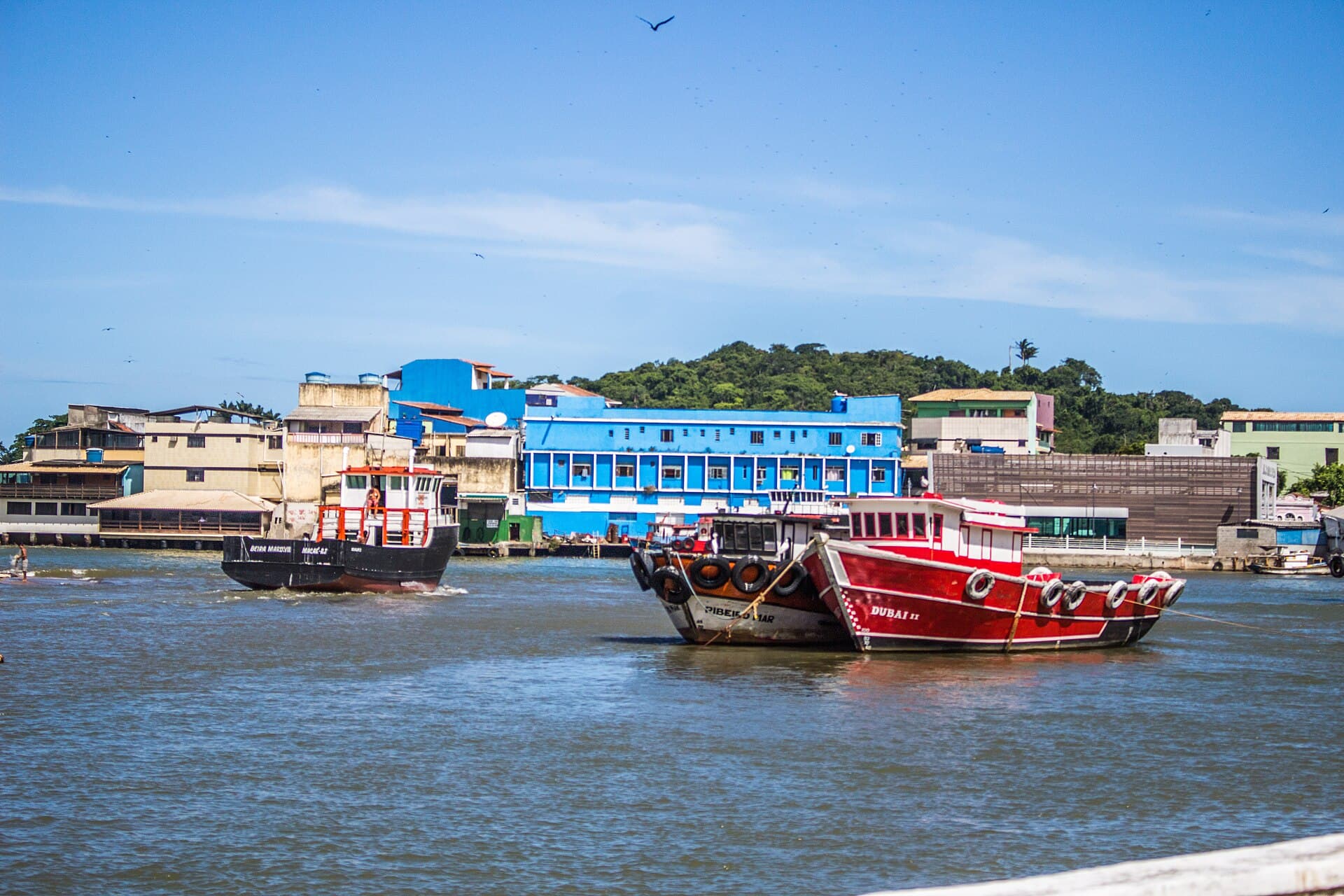 Barcos de pesca no rio Macaé, com o casario do centro da cidade ao fundo.