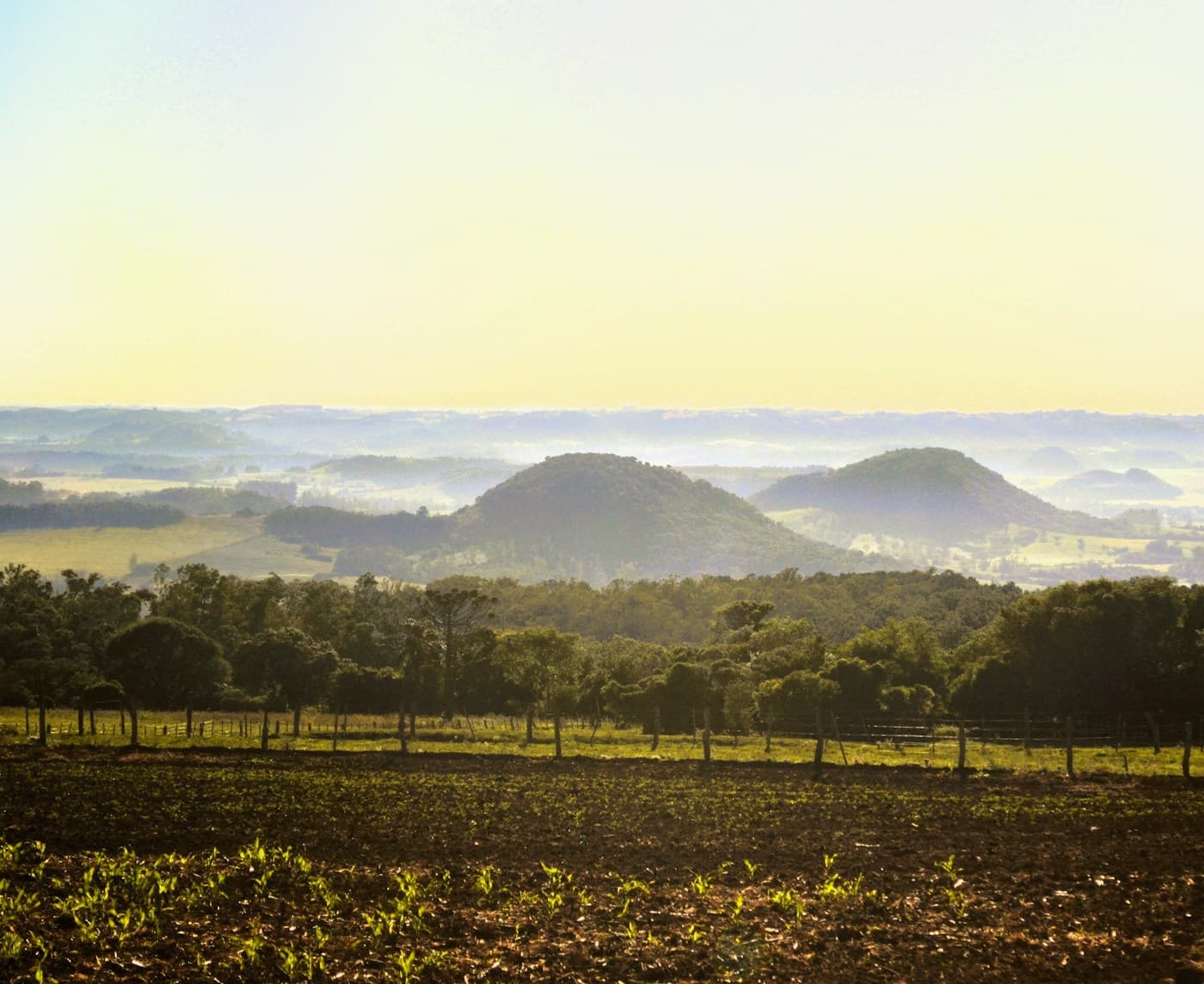 Paisagem do interior do sul do Brasil ao amanhecer, com campos, árvores e colinas cobertas de névoa